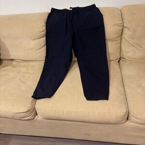 J. Crew Navy Sweatpants